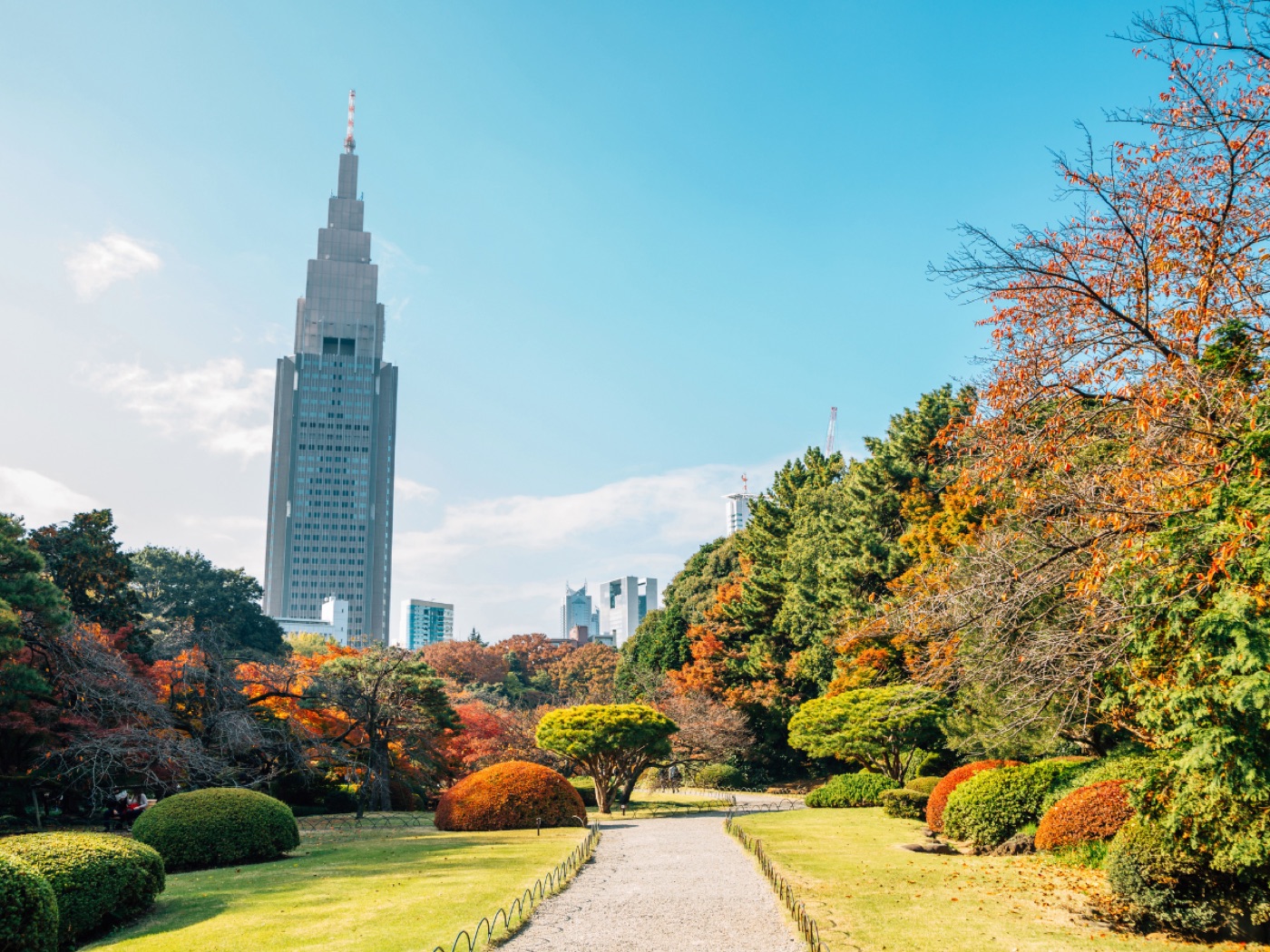 Shinjuku Gyoen garden